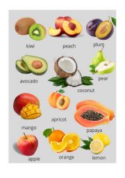 English Worksheet: FRUIT DICTIONARY 2