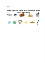 English Worksheet: Science year 1