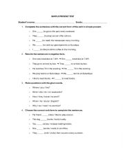 Present Simple Test
