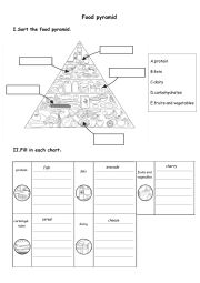 English Worksheet: Food pyramid 