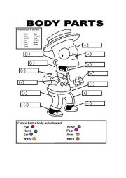 English Worksheet: body parts
