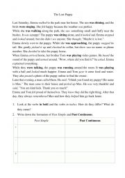 English Worksheet: Past Simple vs Past Continuous
