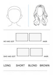 English Worksheet: HAIR