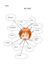 English Worksheet: The Face