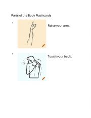 English Worksheet: Parts of the Body Flashcards