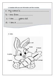 English Worksheet: PERSONAL INFORMATION AND COLOR