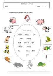 English Worksheet: animals