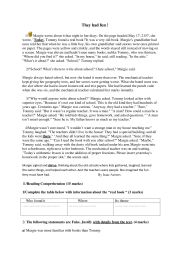 reading comprehension :THEY HAD FUN ! - ESL worksheet by Emira Abouda