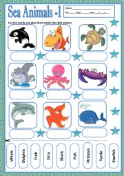 sea animals activities for klids