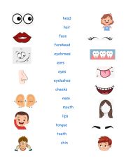English Worksheet: body parts 