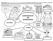 ENVIRONMENT COMPONENTS WORKSHOP