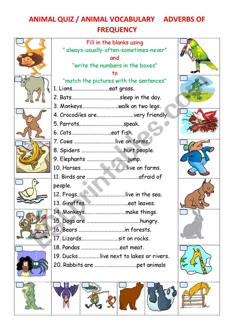 ANIMAL QUIZ worksheet