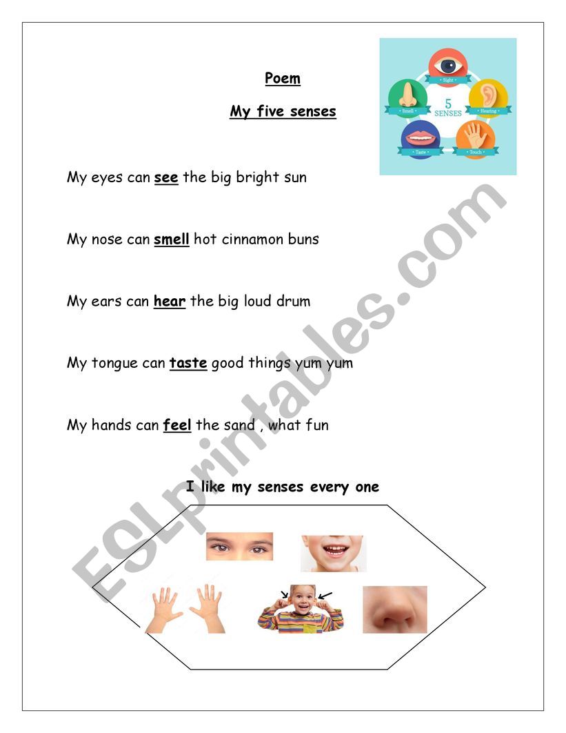 My five senses poem  worksheet