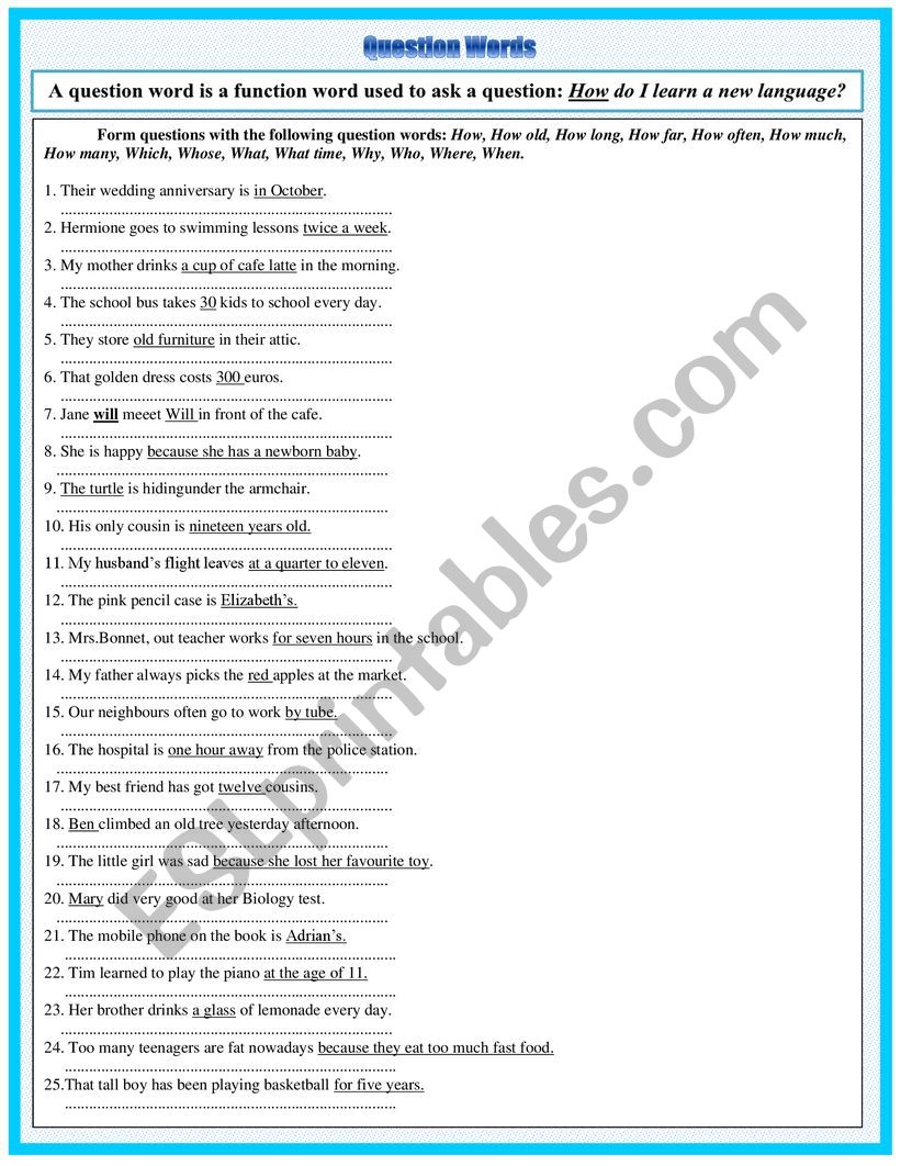 Question words worksheet