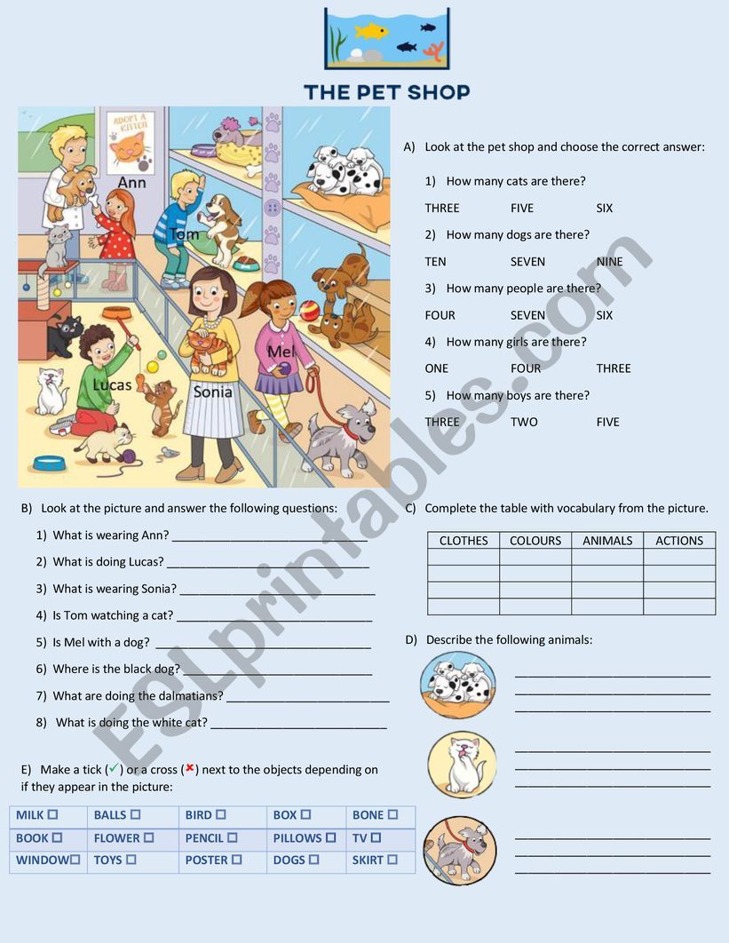 The pet shop worksheet