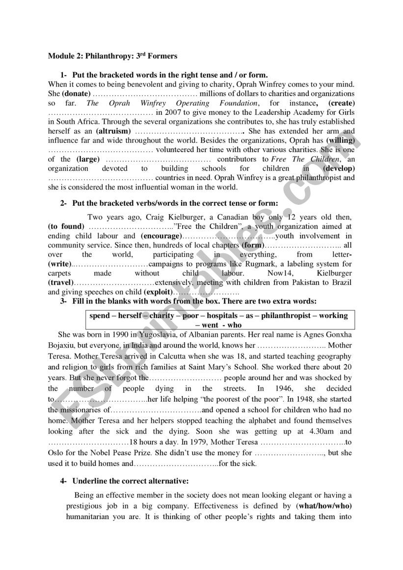 Module2 Philanthropy worksheet