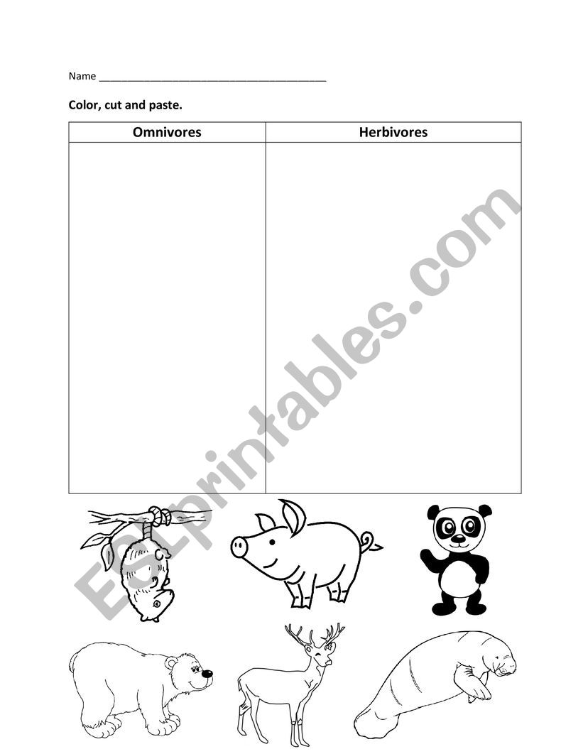 Carnivore and Omnivore Worksheet