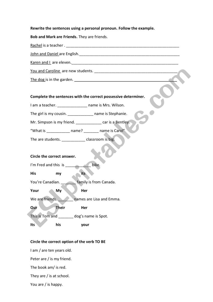 revision  worksheet