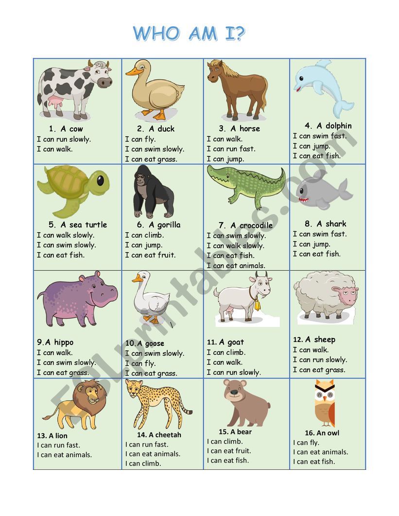 WHO AM I? ANIMALS - ESL worksheet by mistertroy2000