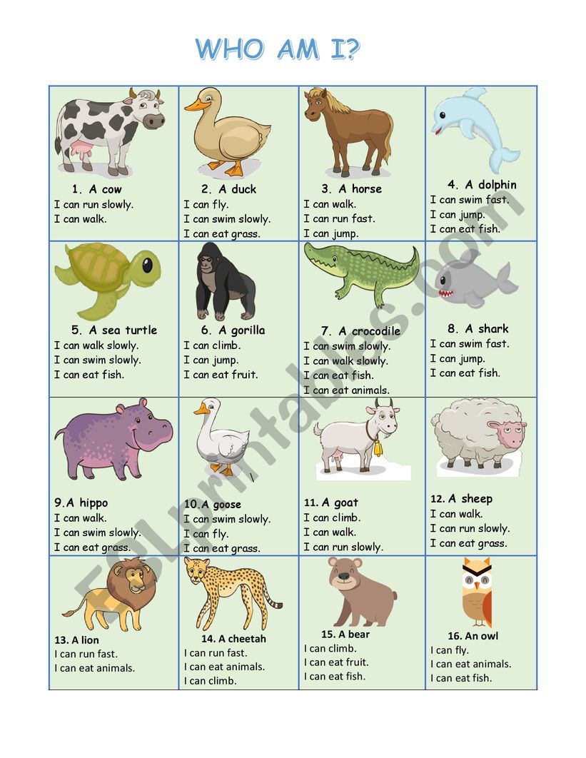 WHO AM I? ANIMALS worksheet