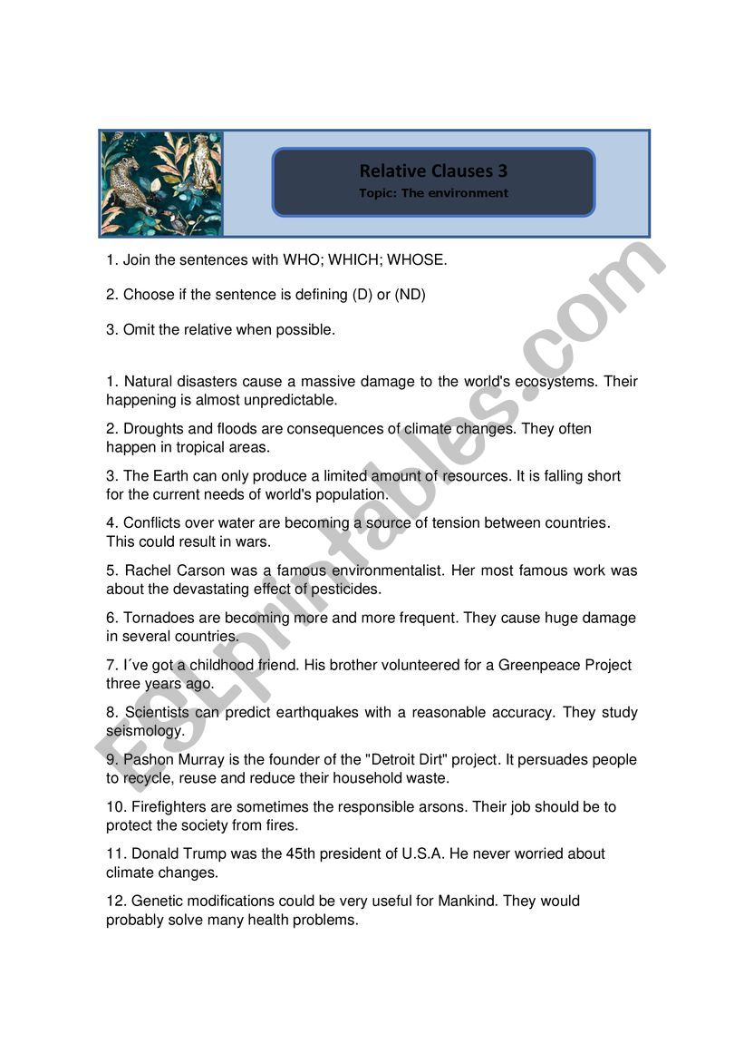 Relative clauses 4 - Environment