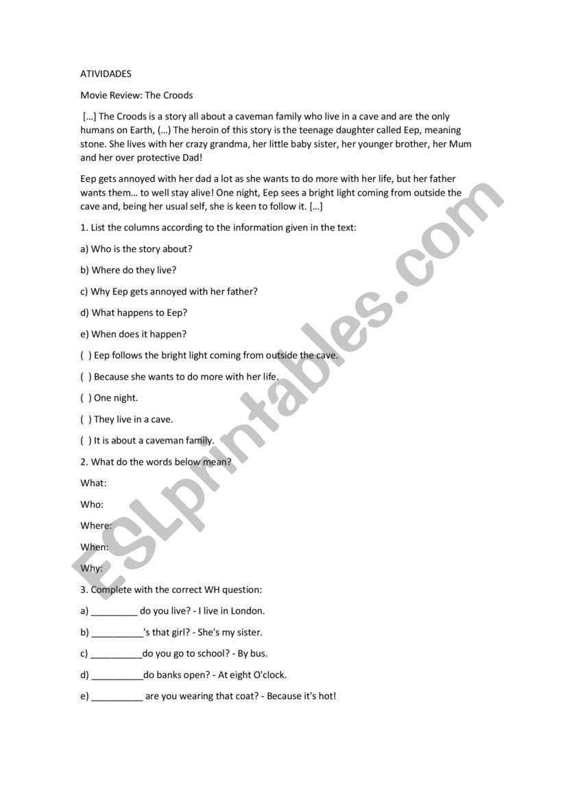 Wh questions worksheet