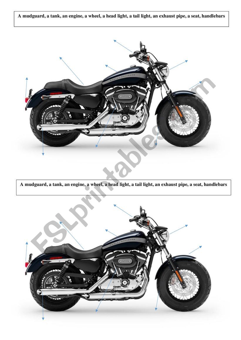 Motorbike worksheet