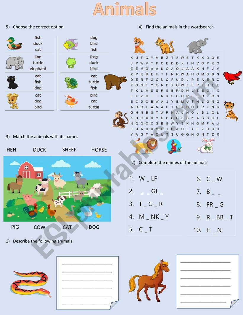 Animals worksheet