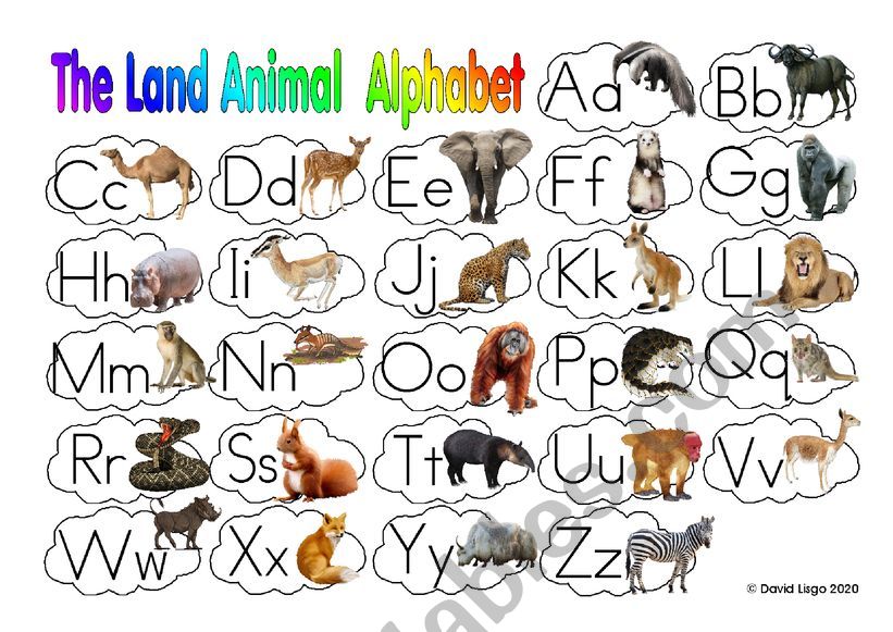 The Land Animal Alphabet with key