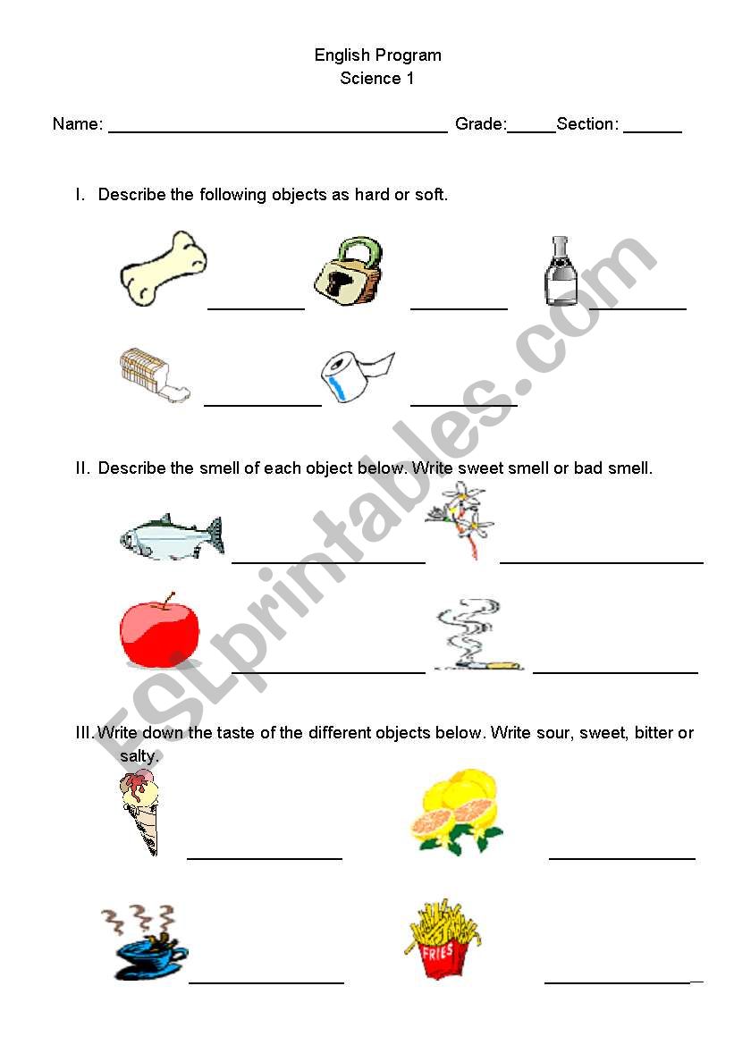 Five Senses worksheet