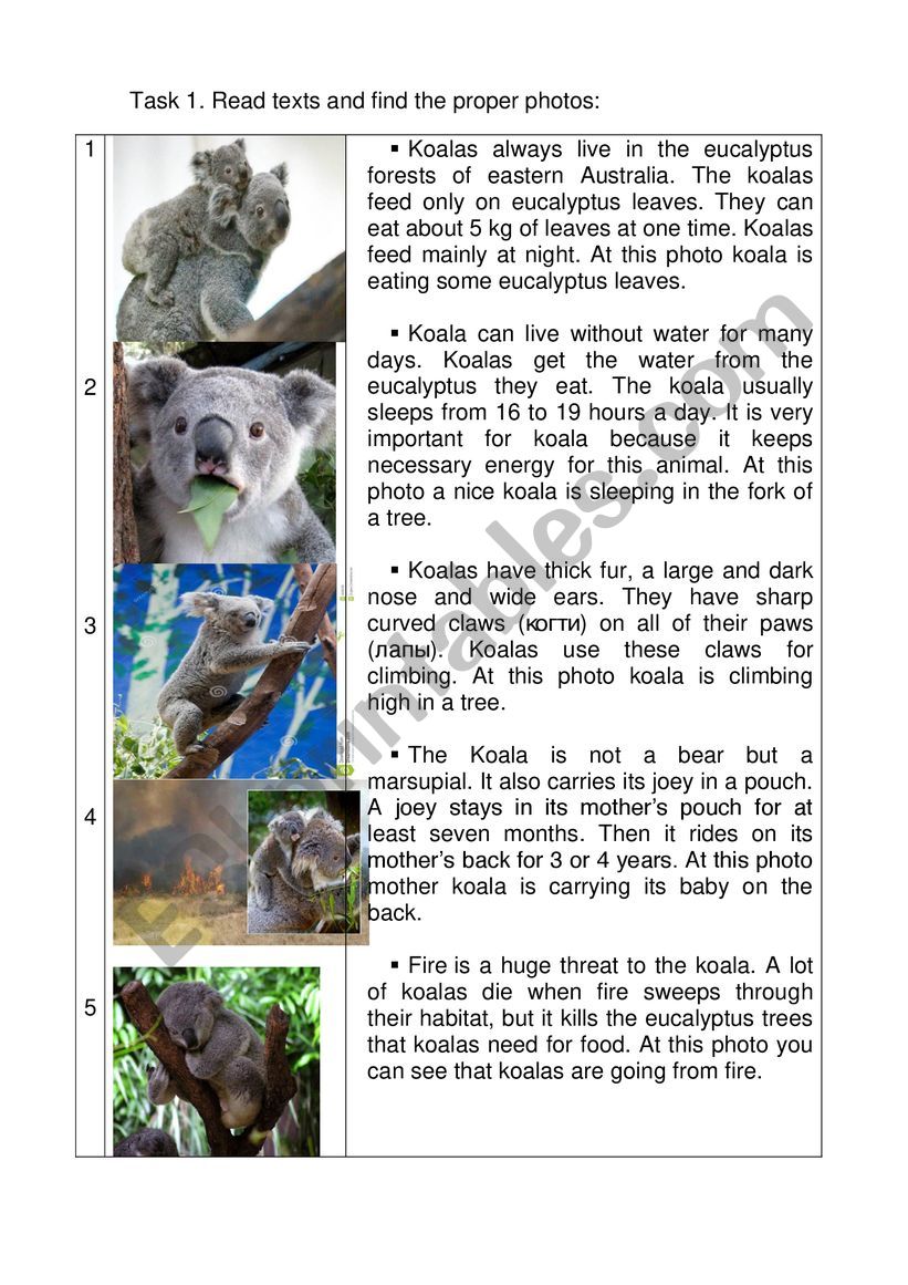 Present Continuous exercises worksheet