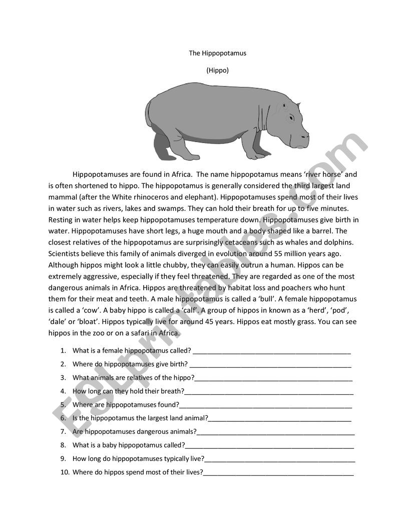 The Hippopotamus worksheet
