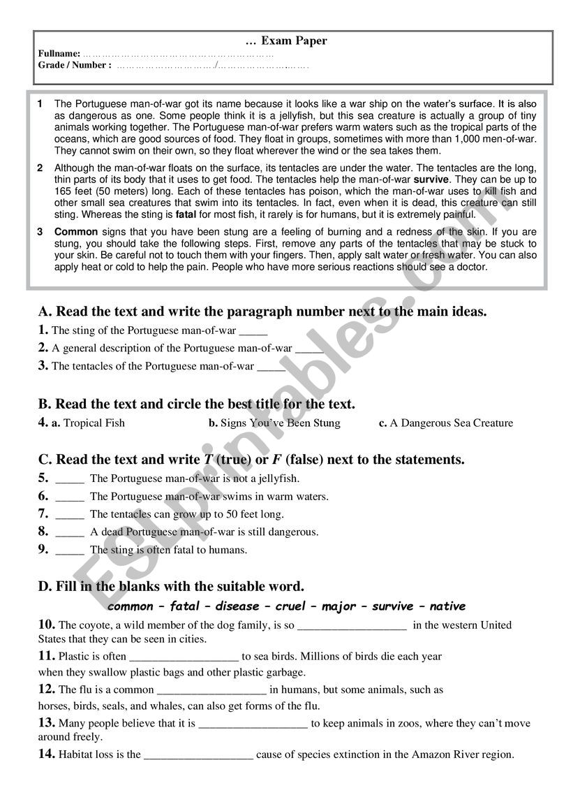 an exam  worksheet