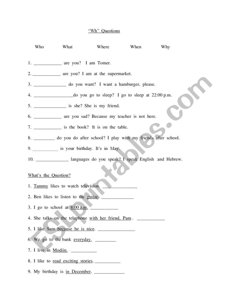Wh  Questions worksheet