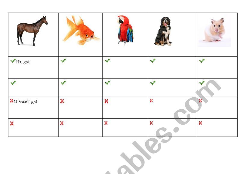 It�s got + animal body parts