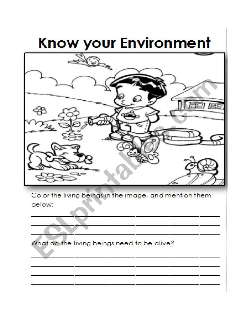 Living Things  worksheet