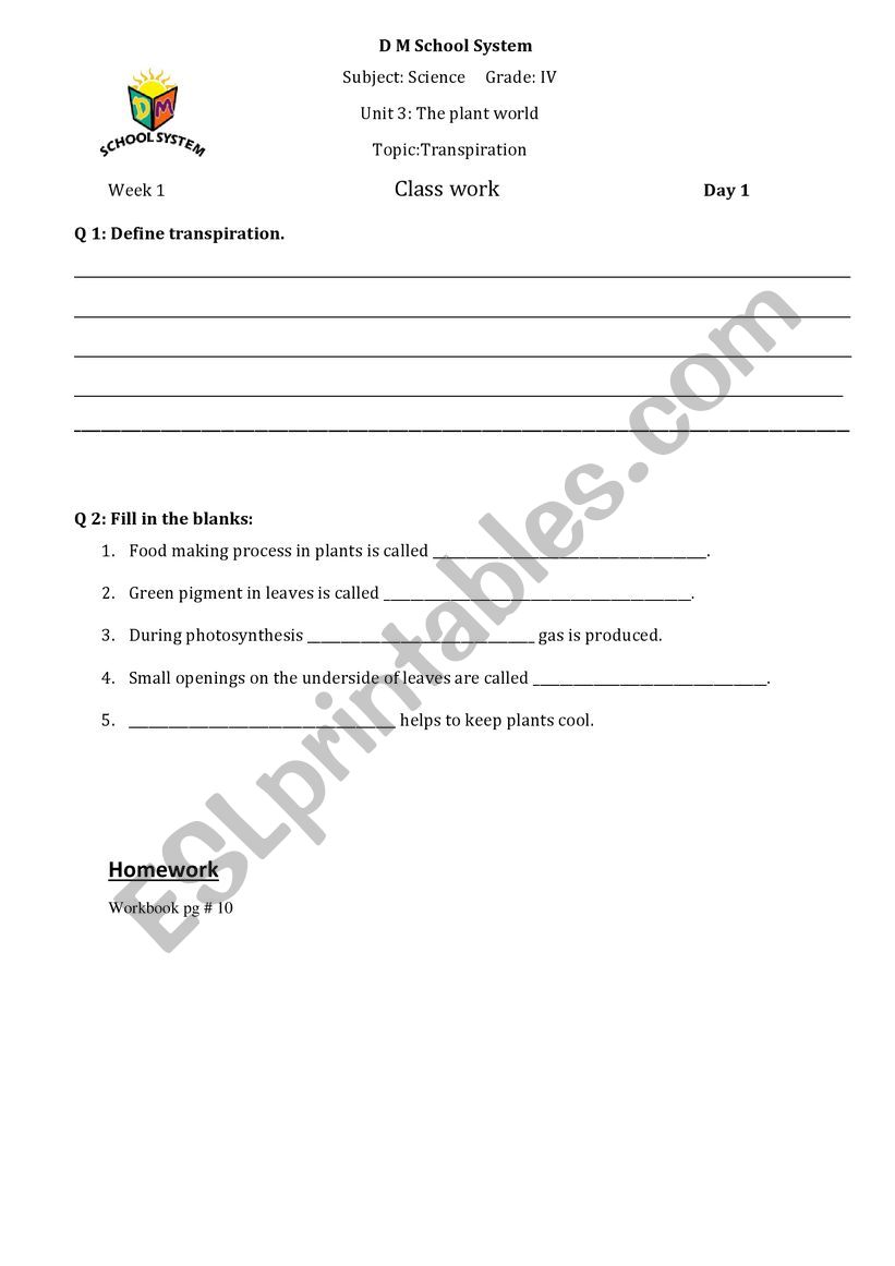 The plant world worksheet