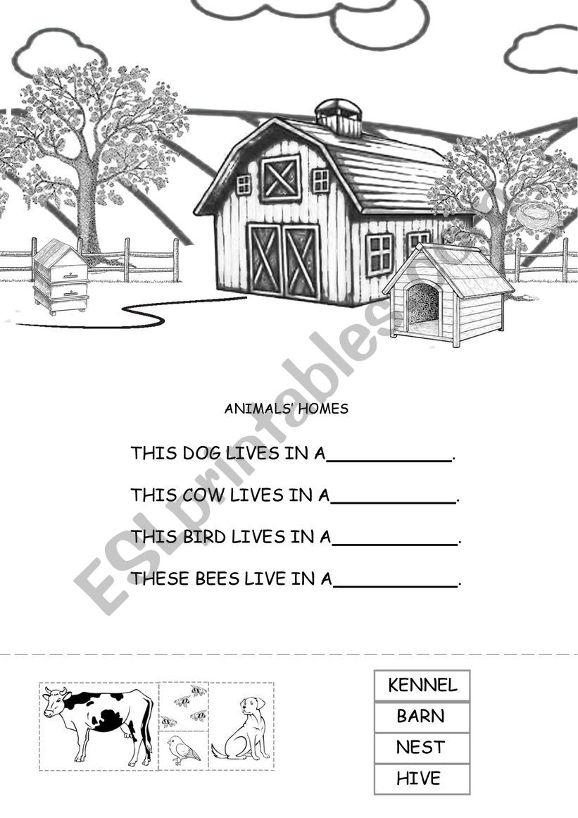 Animals homes worksheet