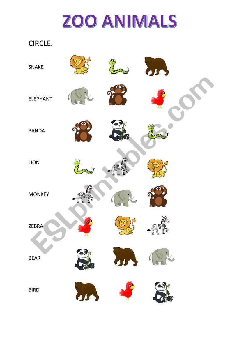 Zoo animals worksheet