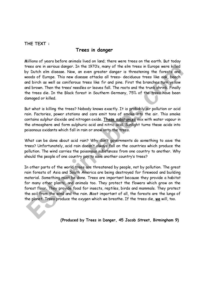 reading text worksheet