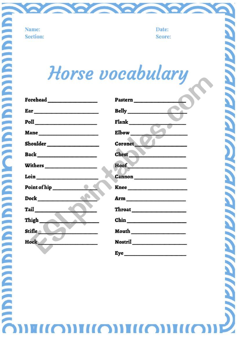 Body Parts of the Horse worksheet