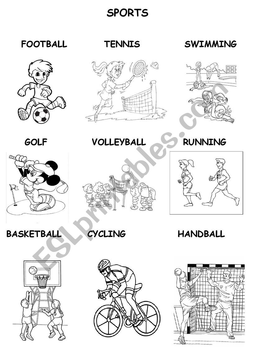 Sports worksheet