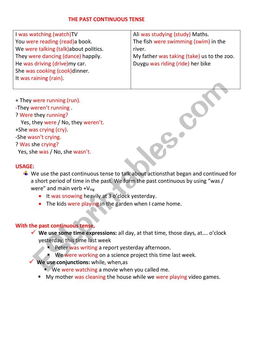 The Past Continuous Tense worksheet