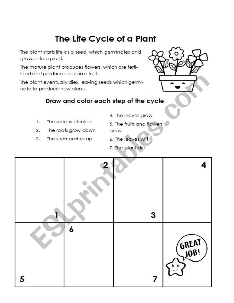 Life of a plant worksheet