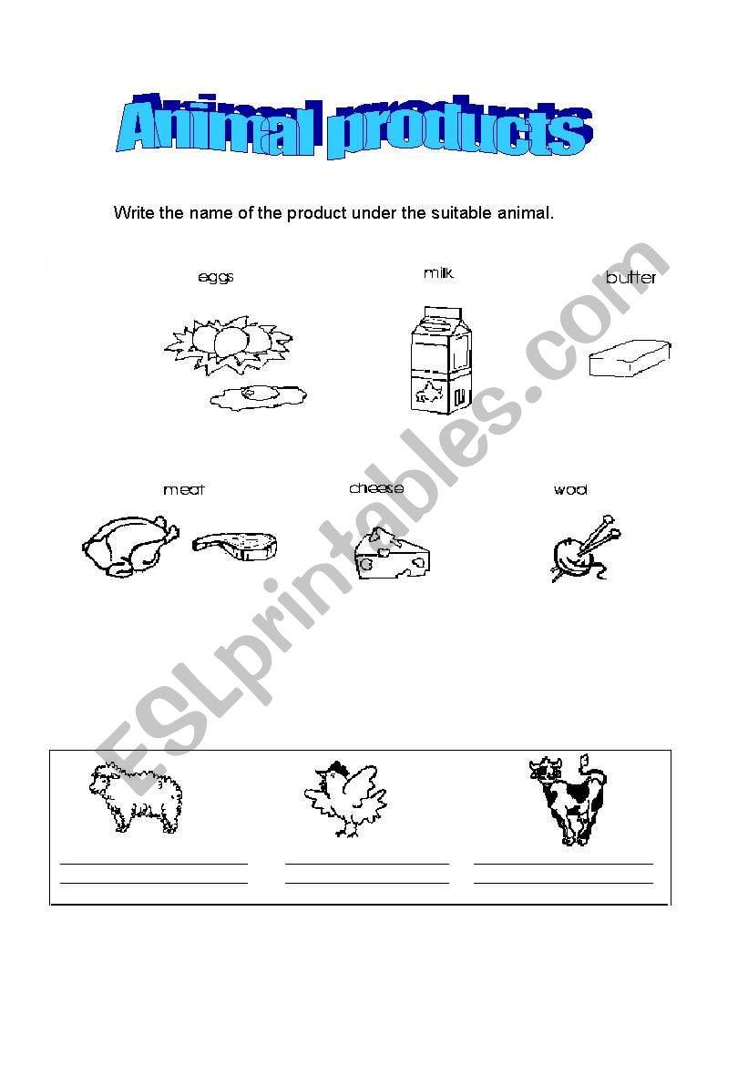 Animal Products worksheet