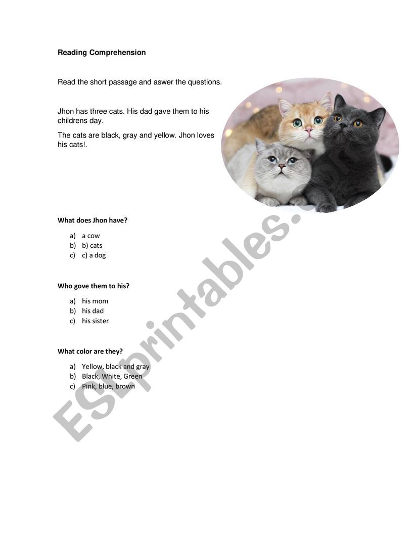 Reading Comprehension worksheet