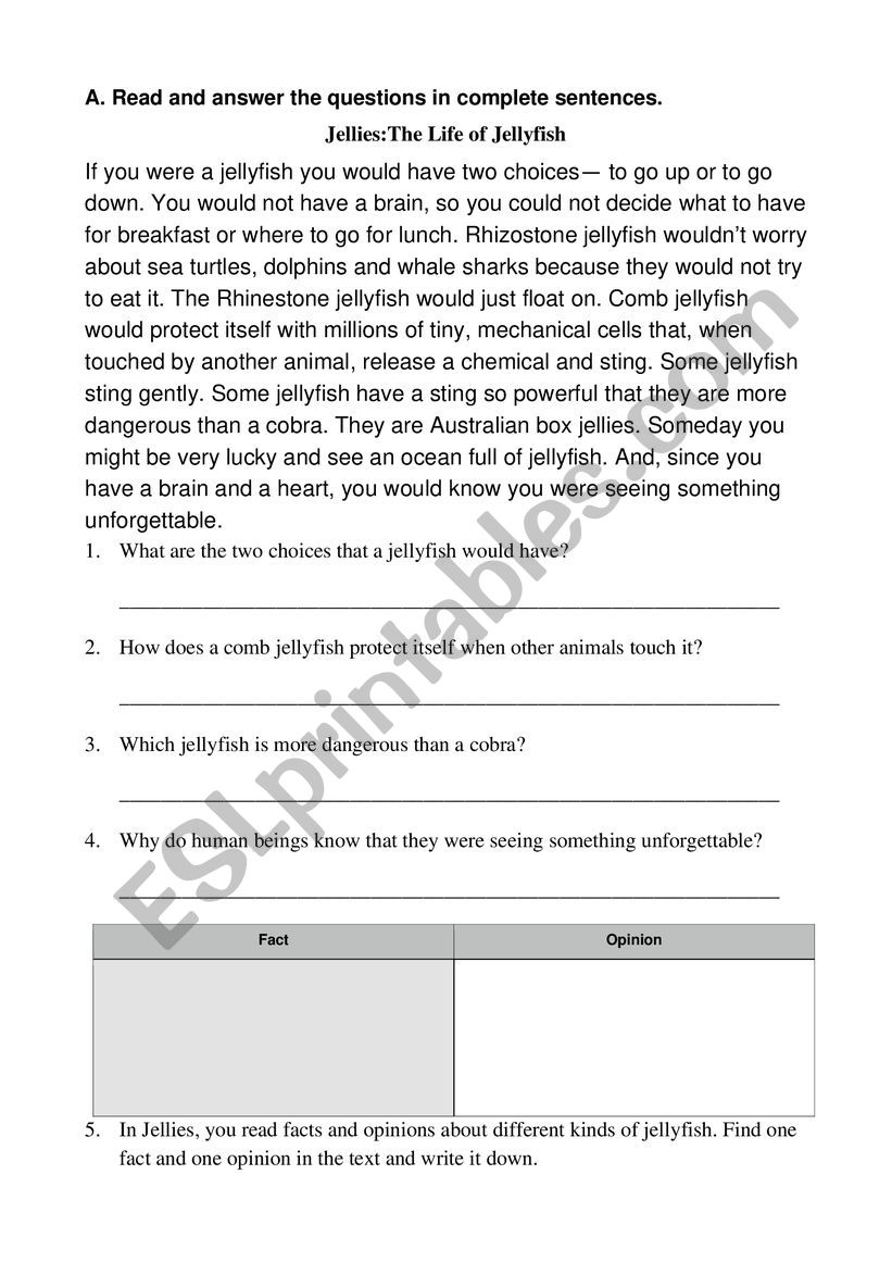 The Life of Jellyfish worksheet