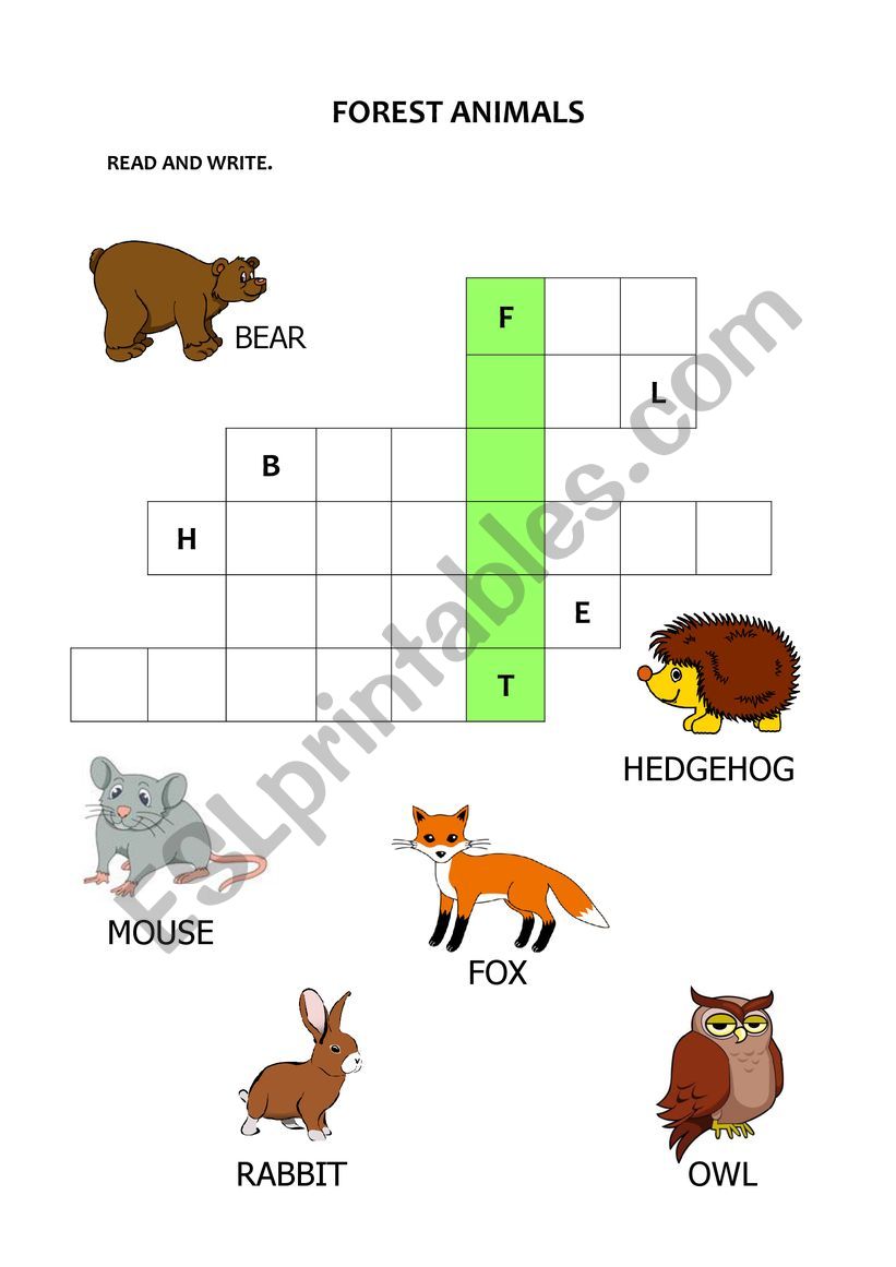 Forest animals worksheet