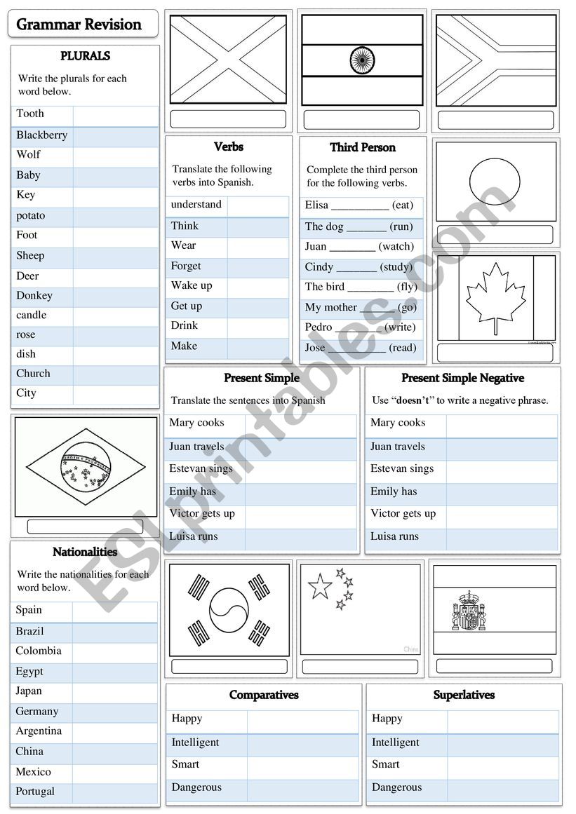 Grammar revision and flags worksheet