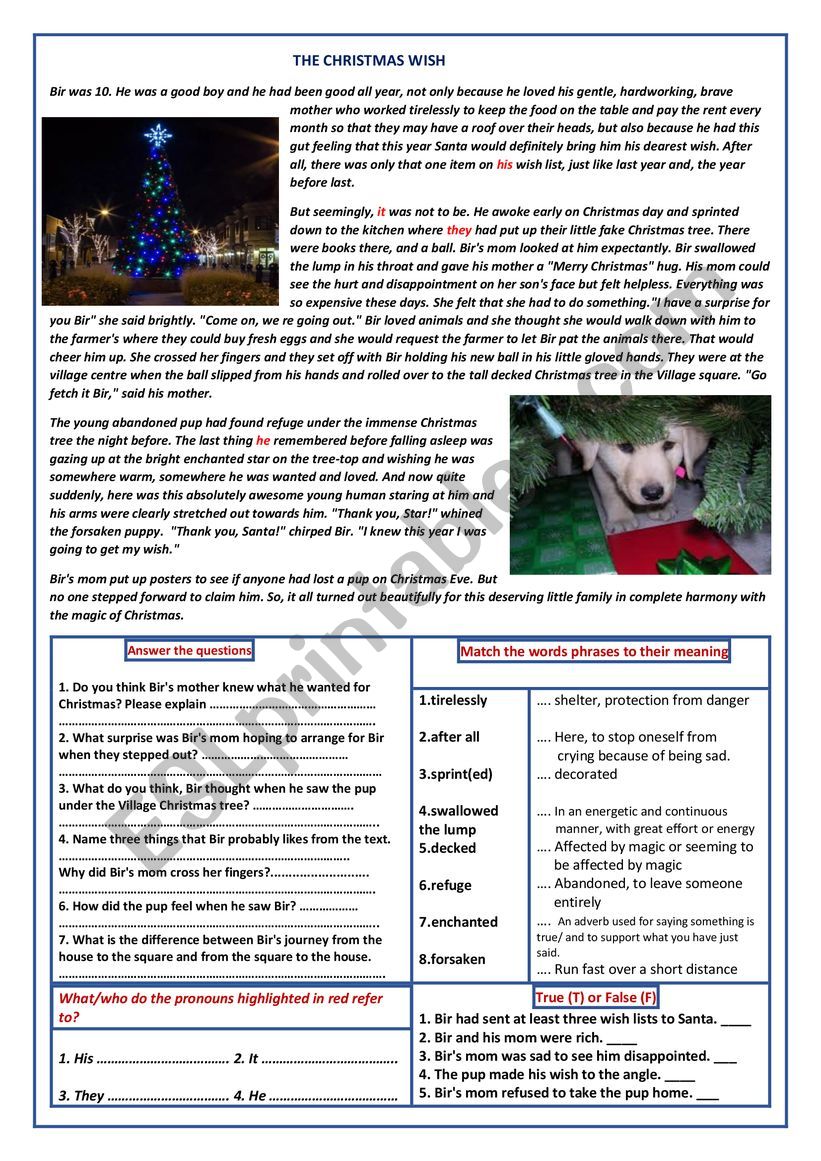 THE CHRISTMAS WISH worksheet